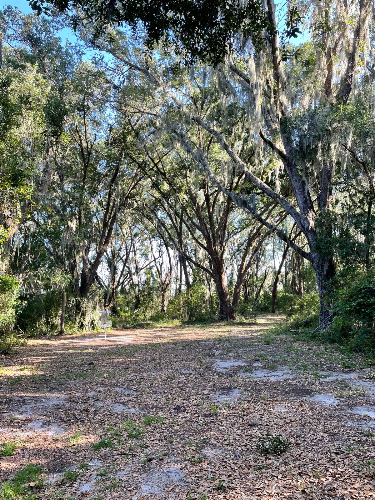 Hole 8