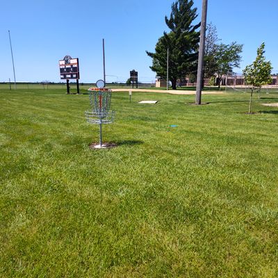 Hole 8 basket