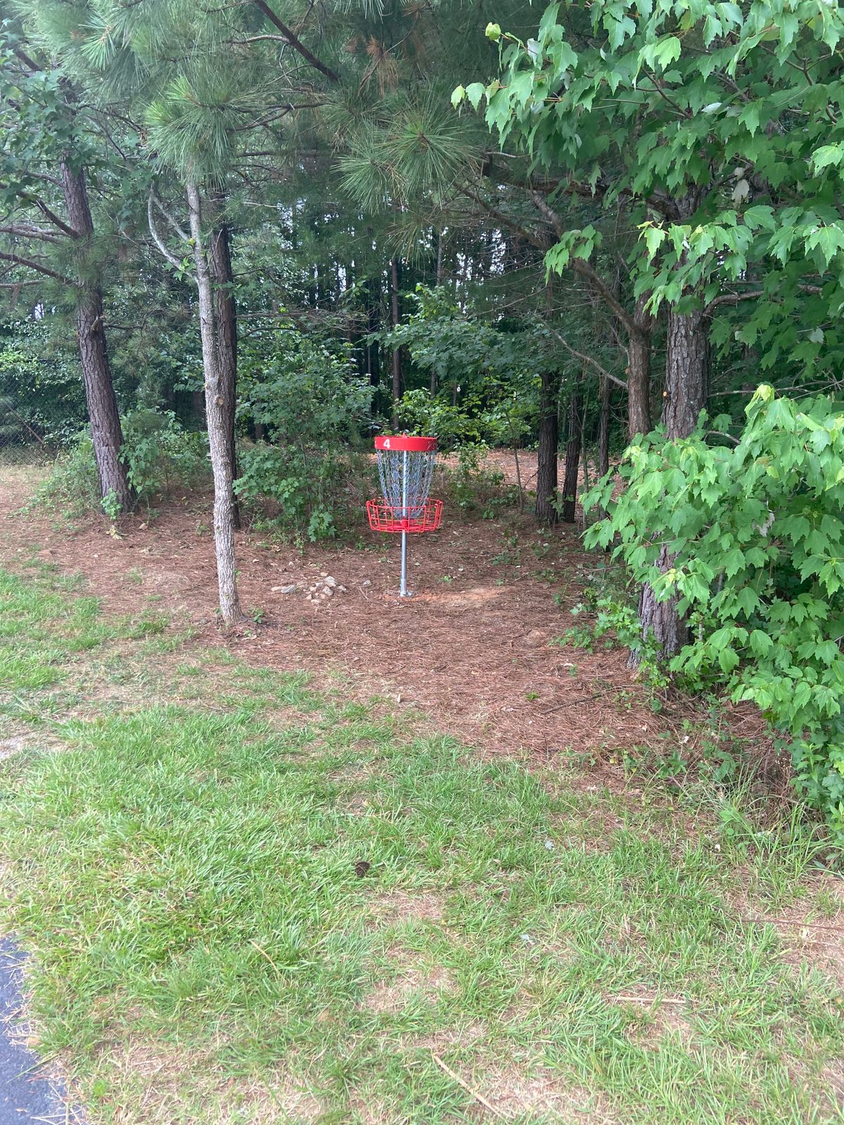 Basket on hole 4 viewed from path leading to hole 5 tee pad!  Walking path is OB