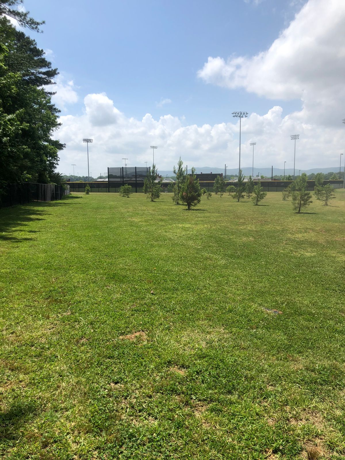 Hole 1