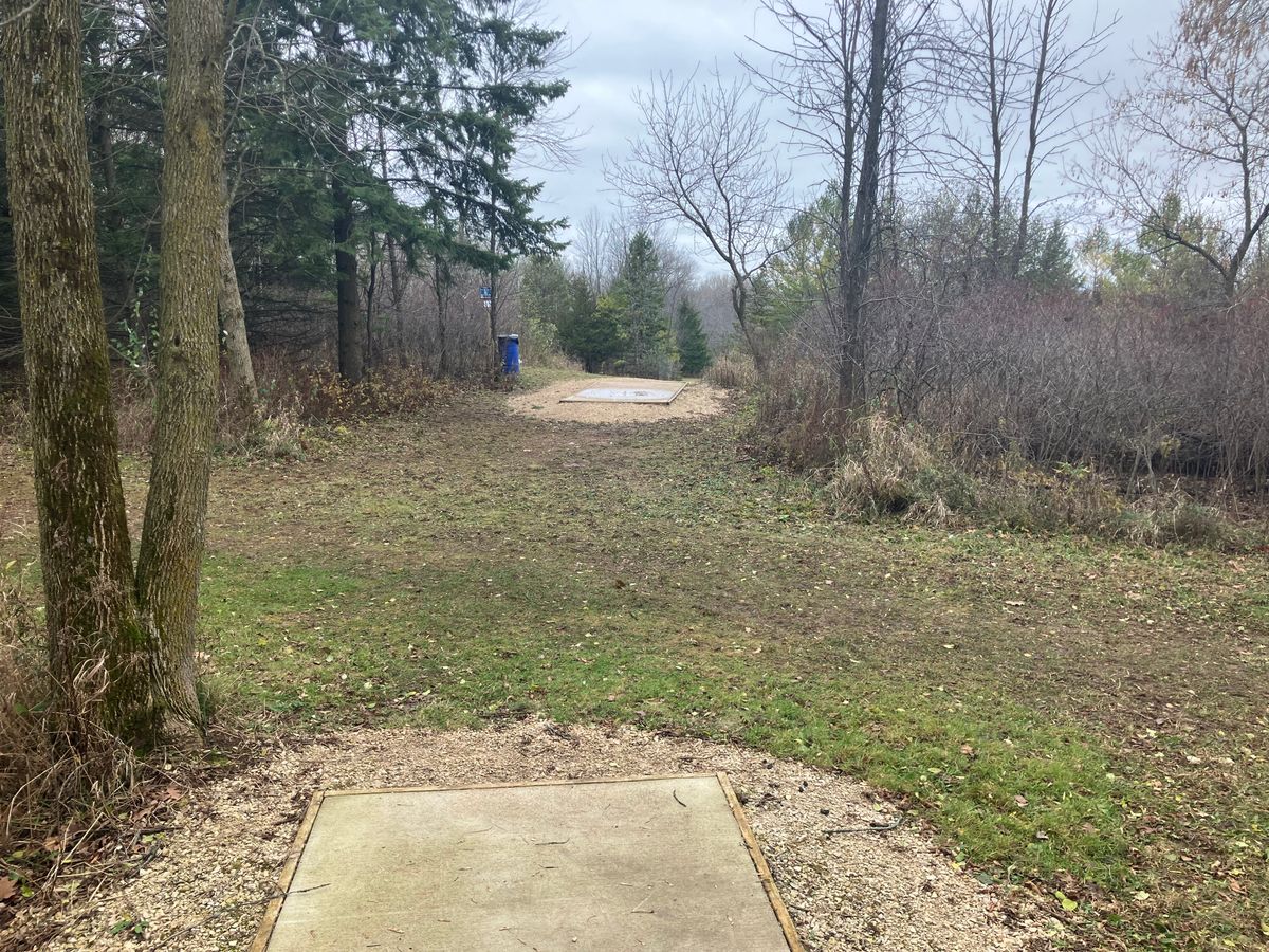 #15 Long. Blind Tee shot