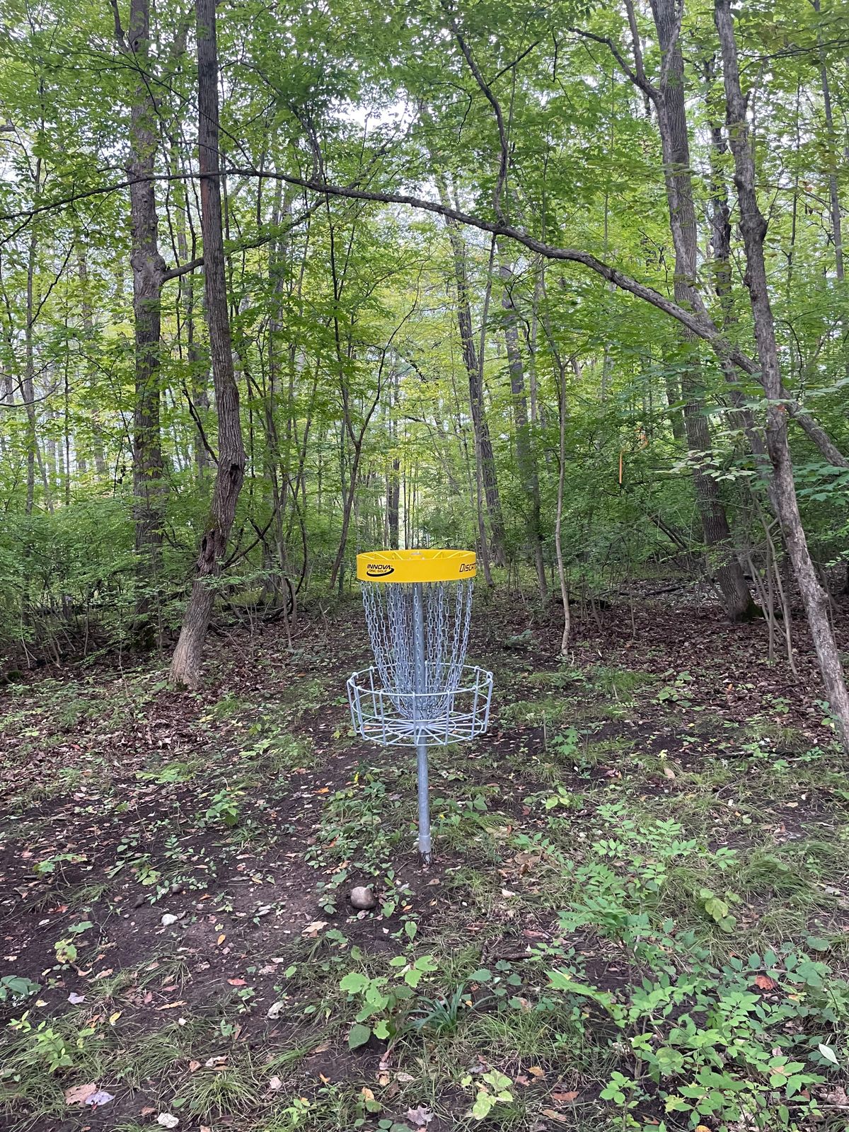 Hole 7 Basket