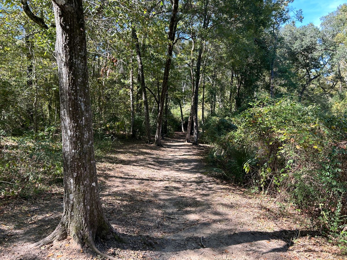 Hole 3 Fairway