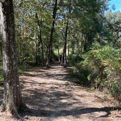 Hole 3 Fairway