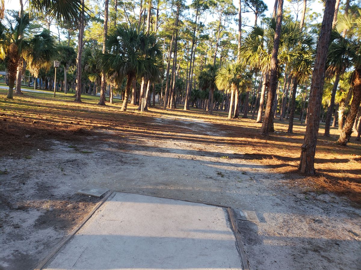 Tee pad 10
