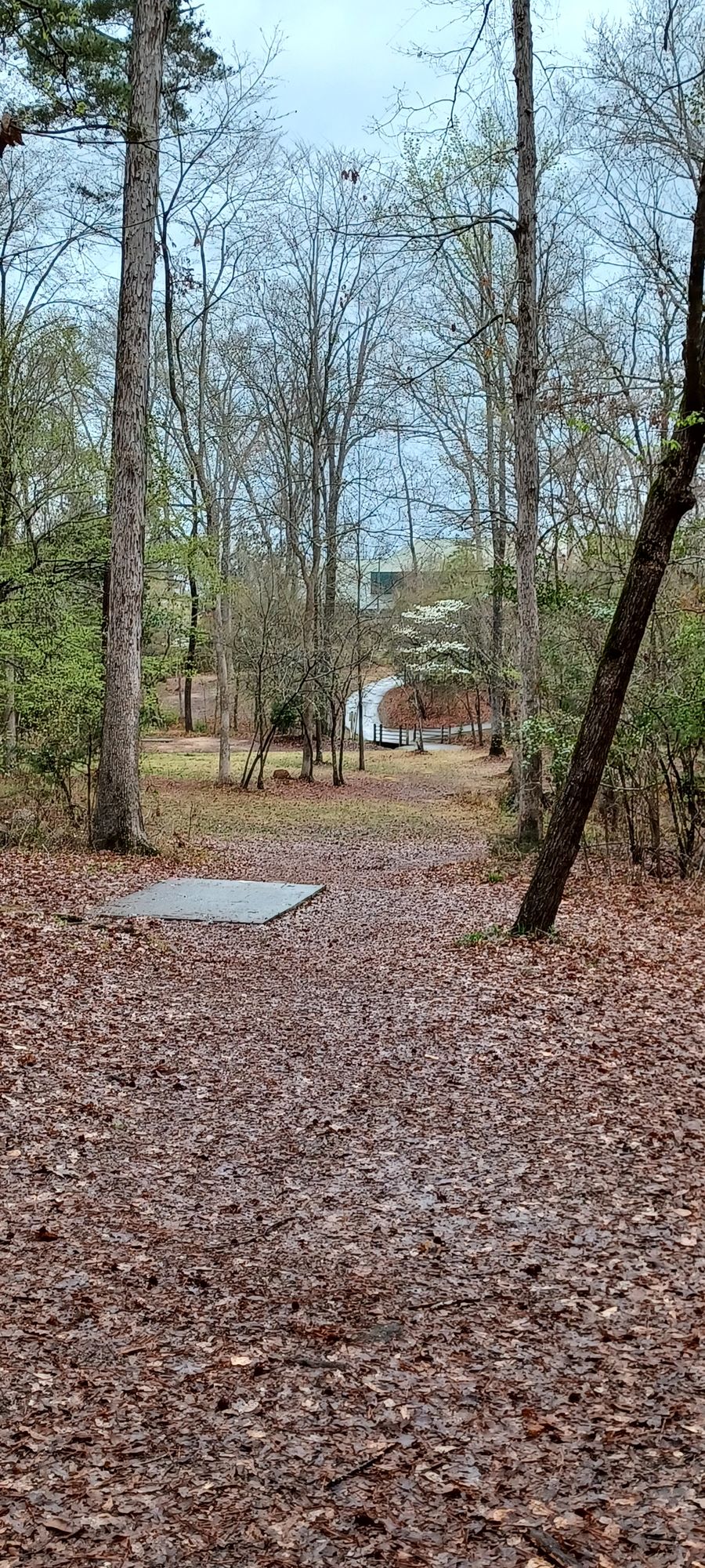 18 blue tee (252'/350')