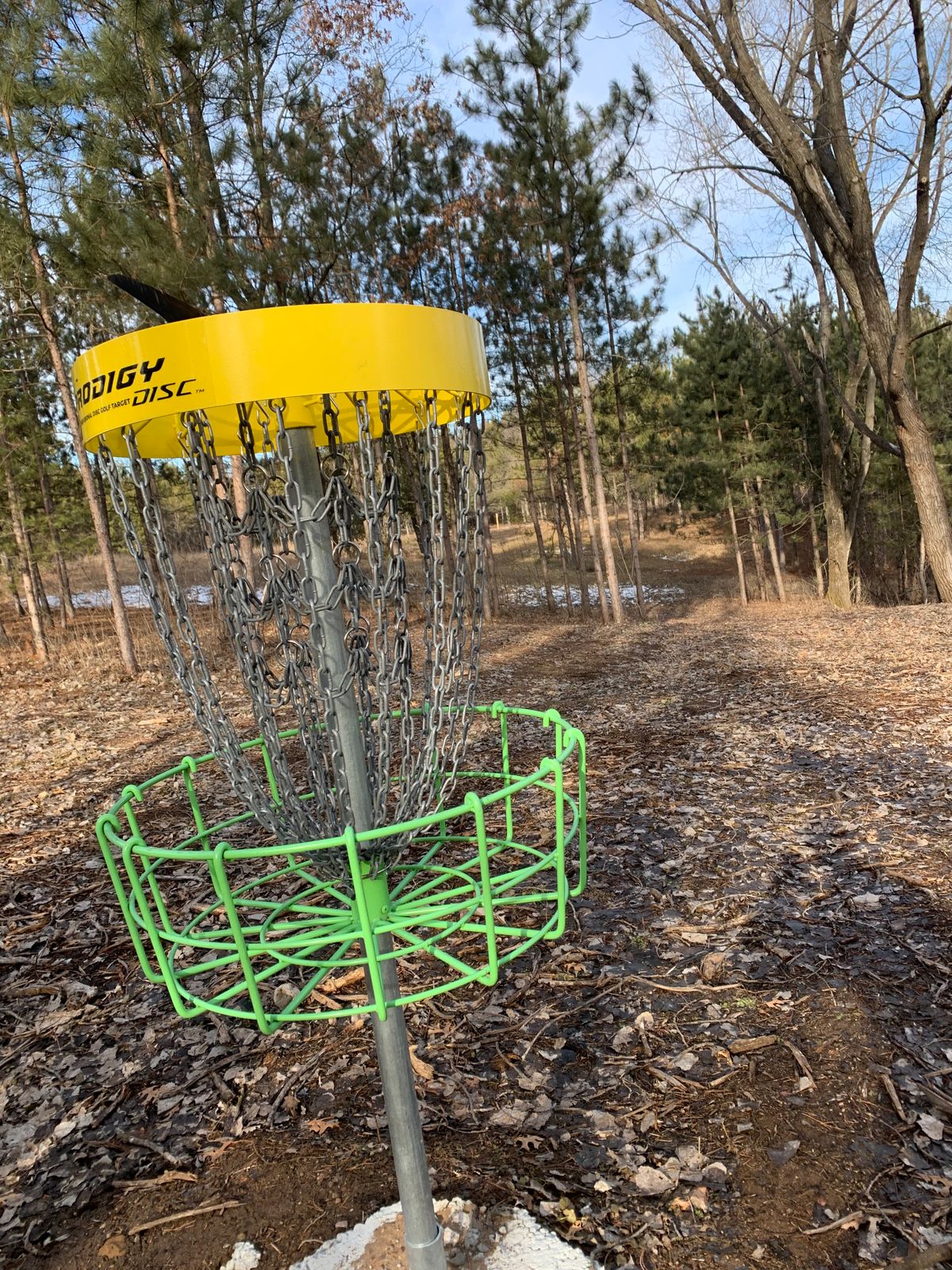 Hole 17. Cool green & yellow Prodigy baskets on all the holes now.