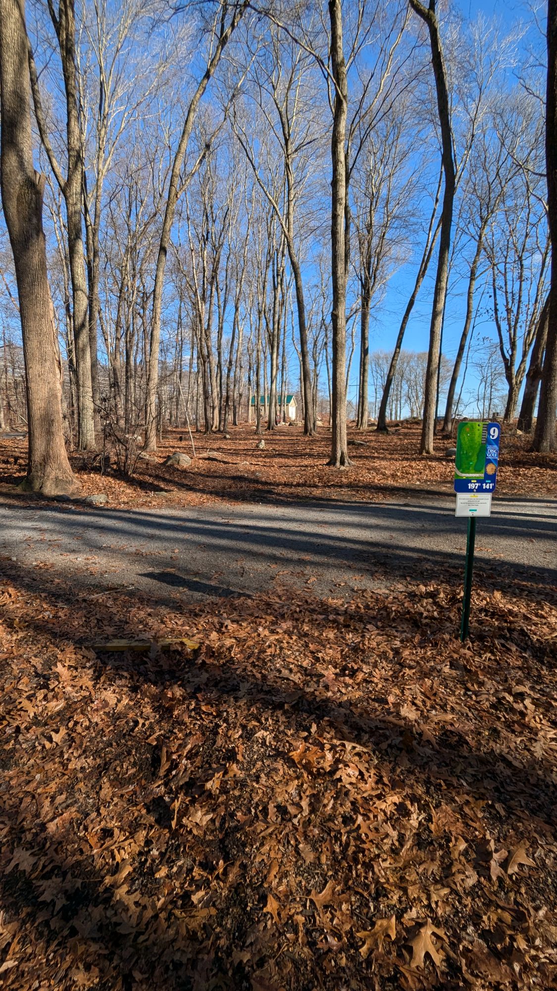 Hole 9 Yellow