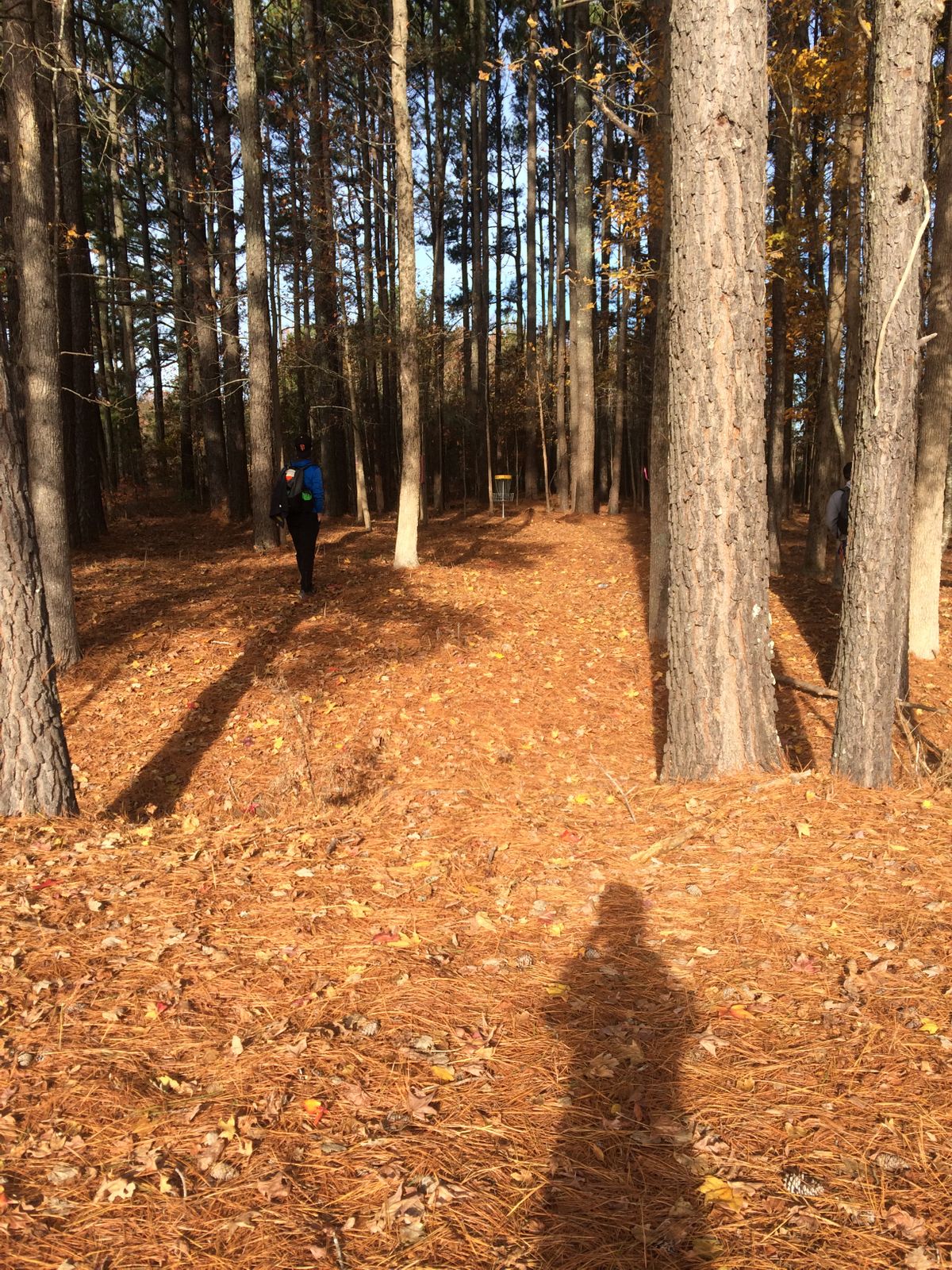 Hole #2 Left Fairway