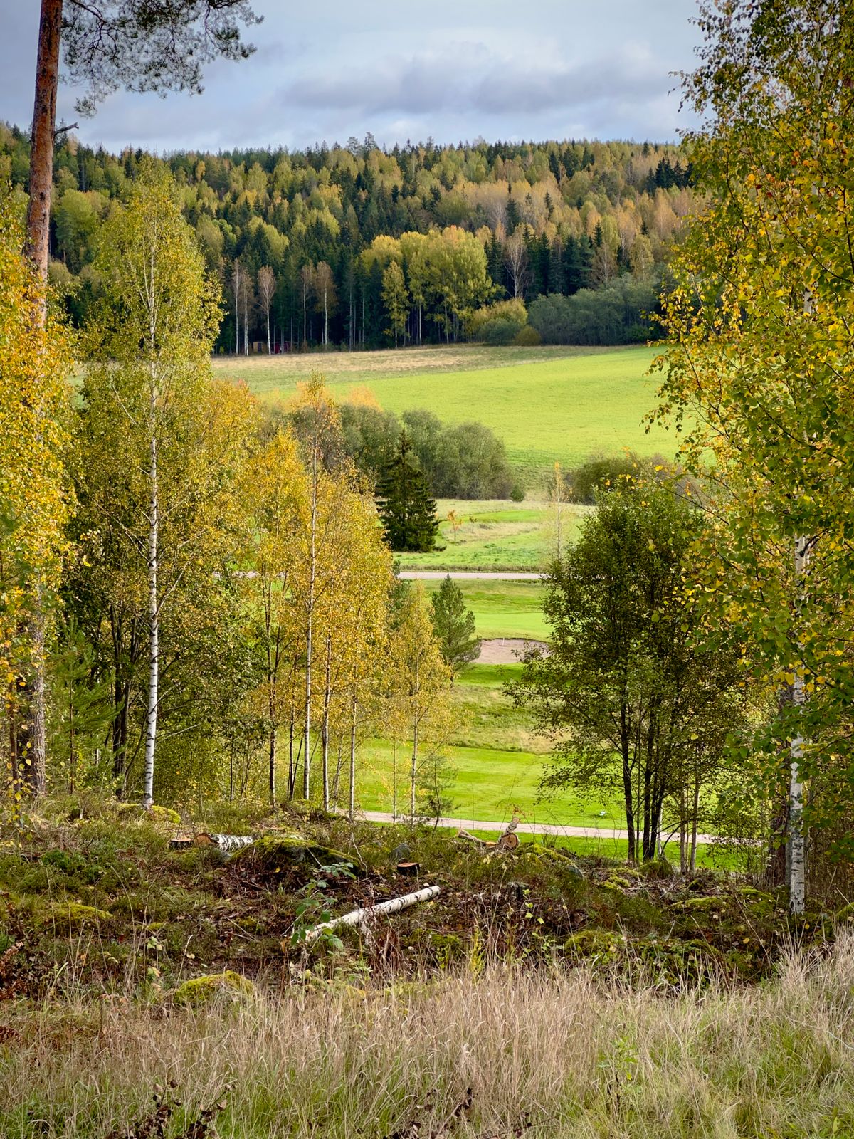 Fairway #17 from the teeing area.