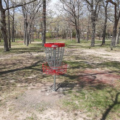 New baskets!