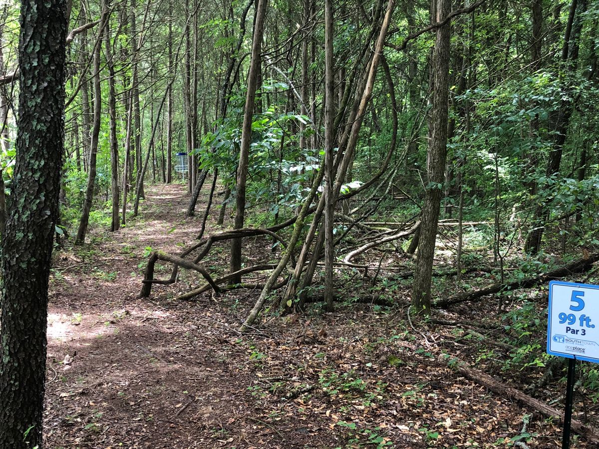 Hole 5 tee