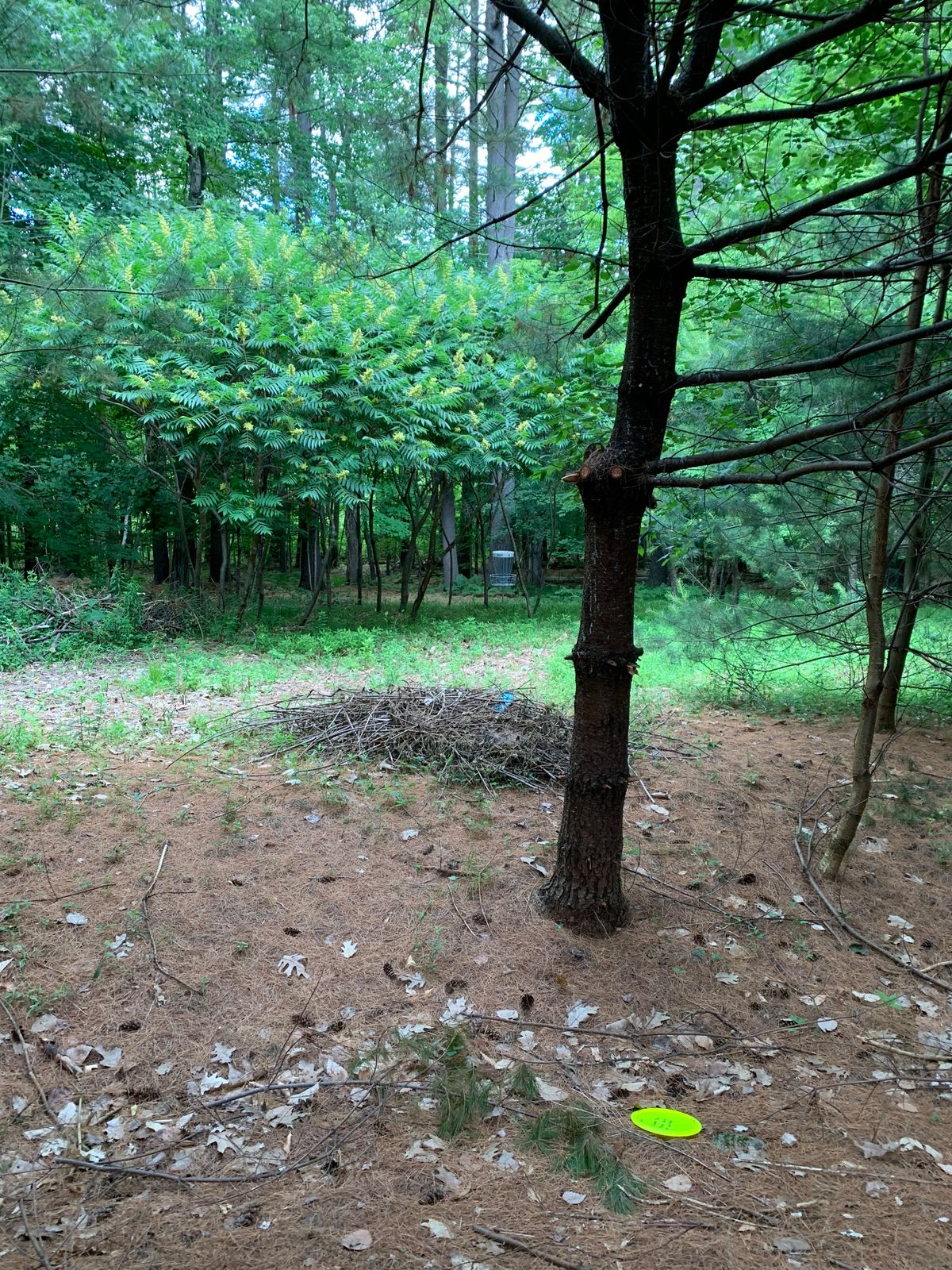 Looking into the green on hole 4.