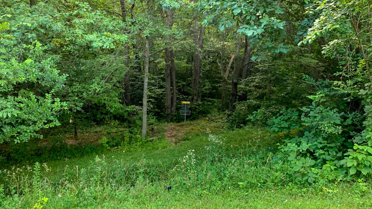 Hole 4