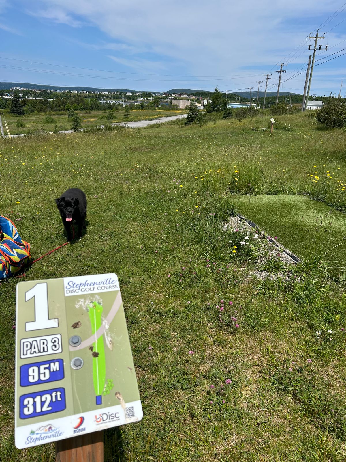 Hole 1 - long.