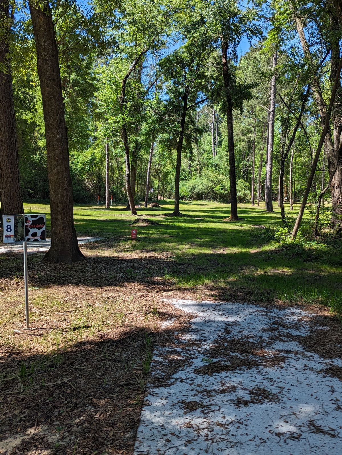 Hole 8 Blue/Veteran Pad