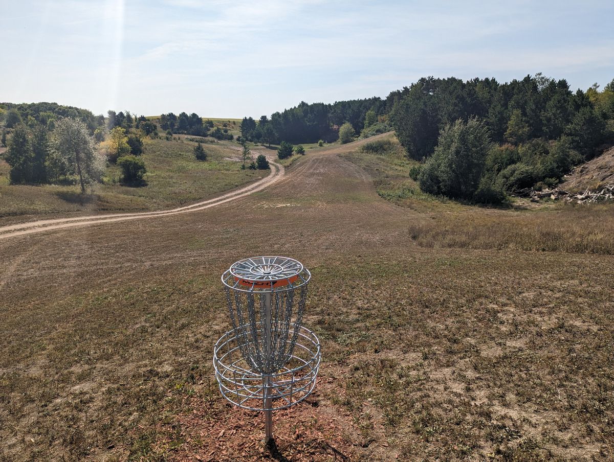 Short Basket looking back at fairway