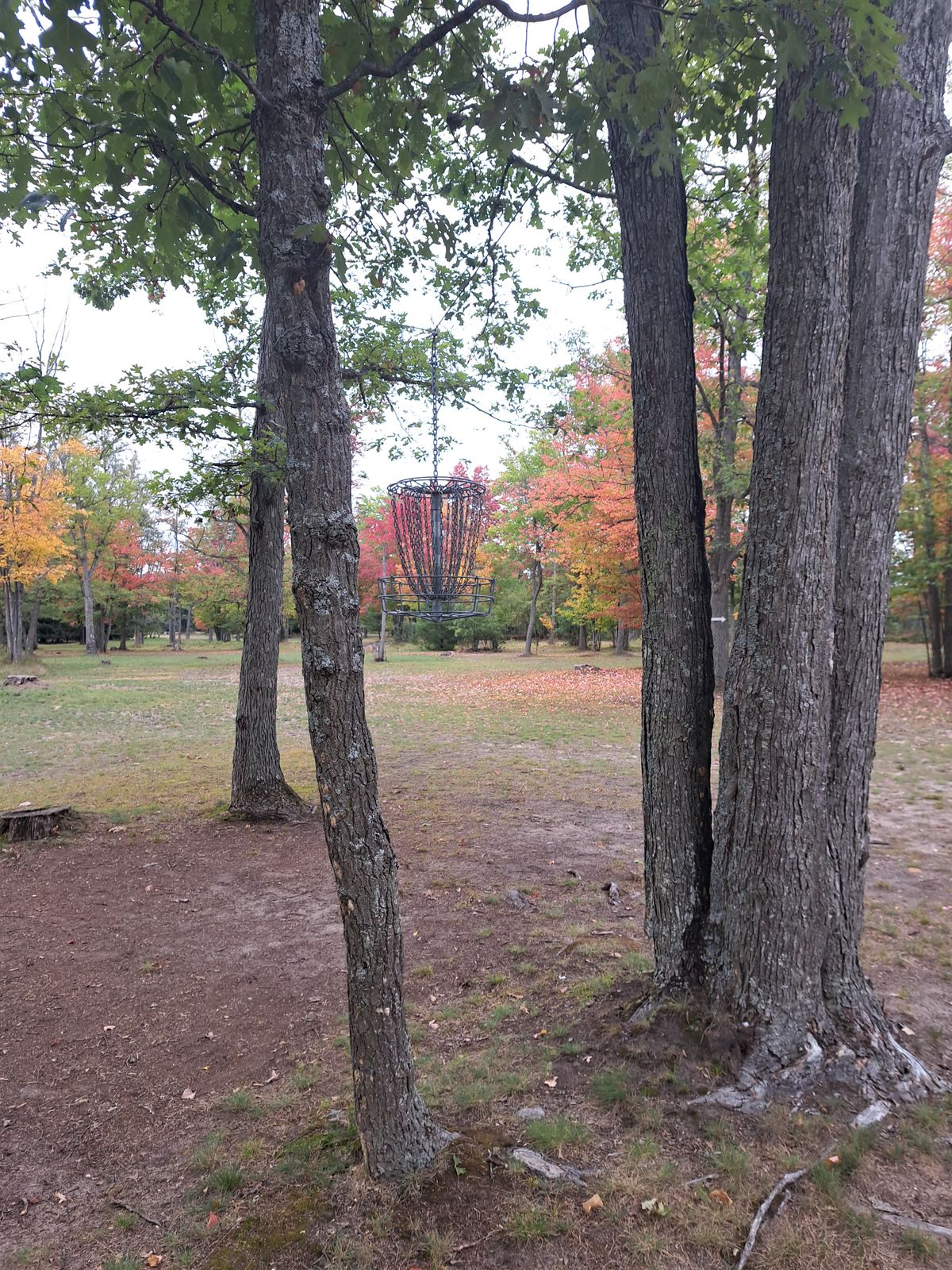 Hole 14 basket A
