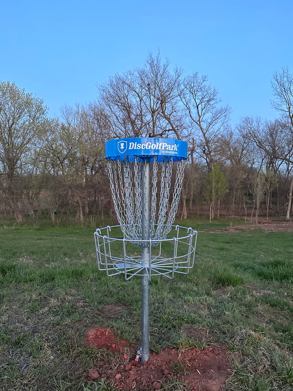 Hole #8 Basket