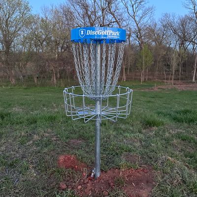 Hole #8 Basket