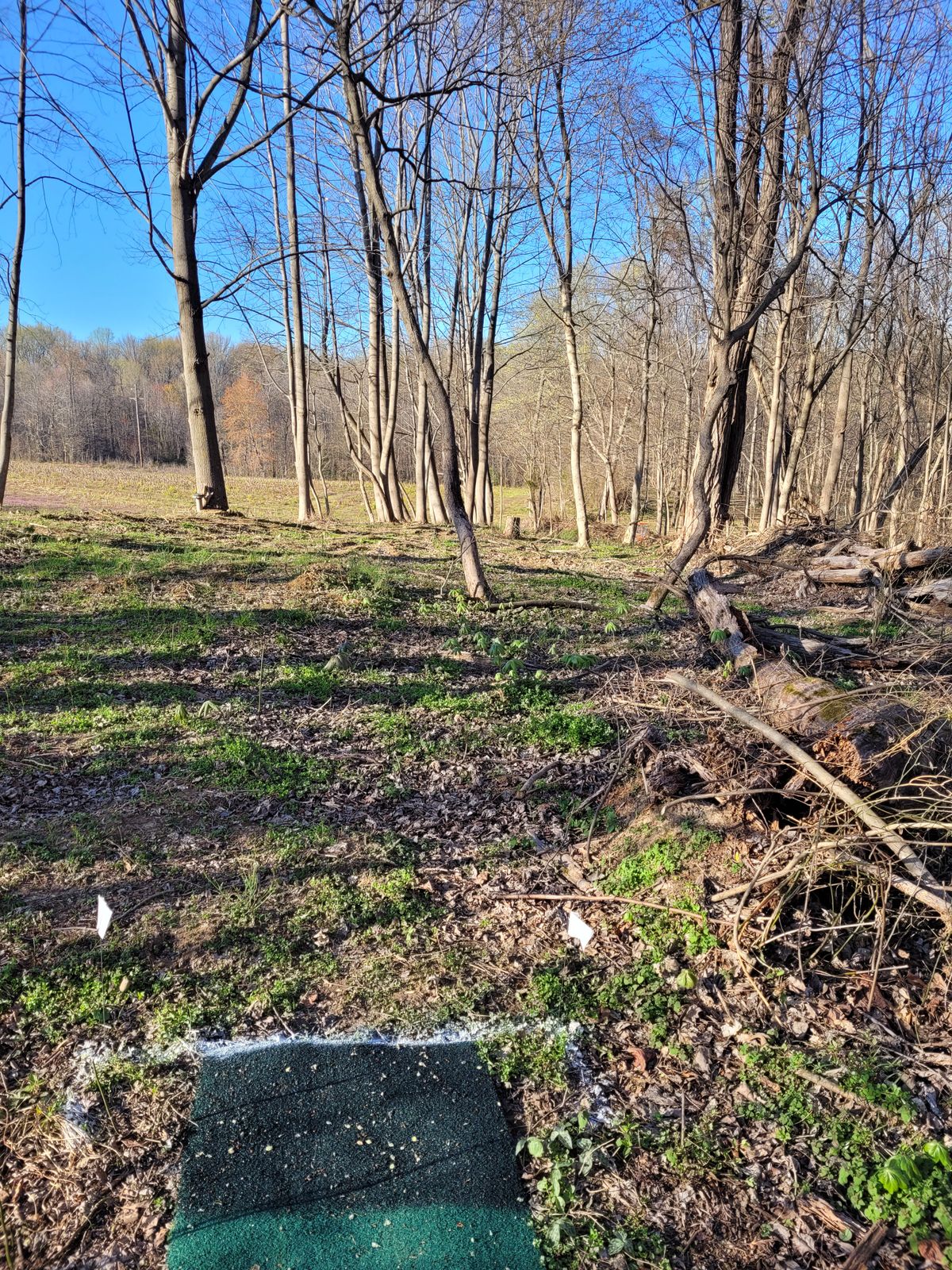 Hole 3