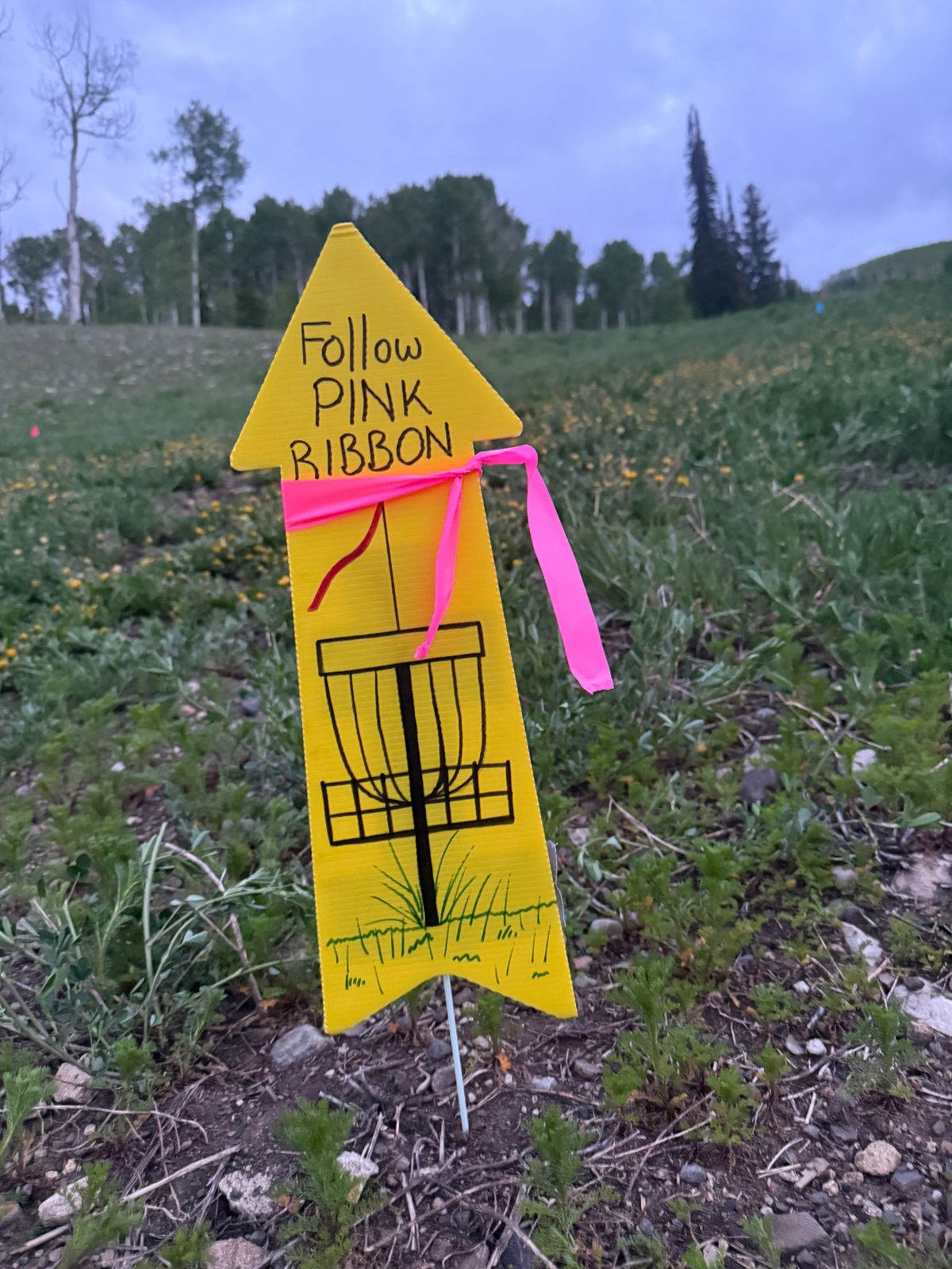 Follow signs and pink ribbons to hole 1 and to next tees