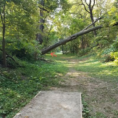Hole 6