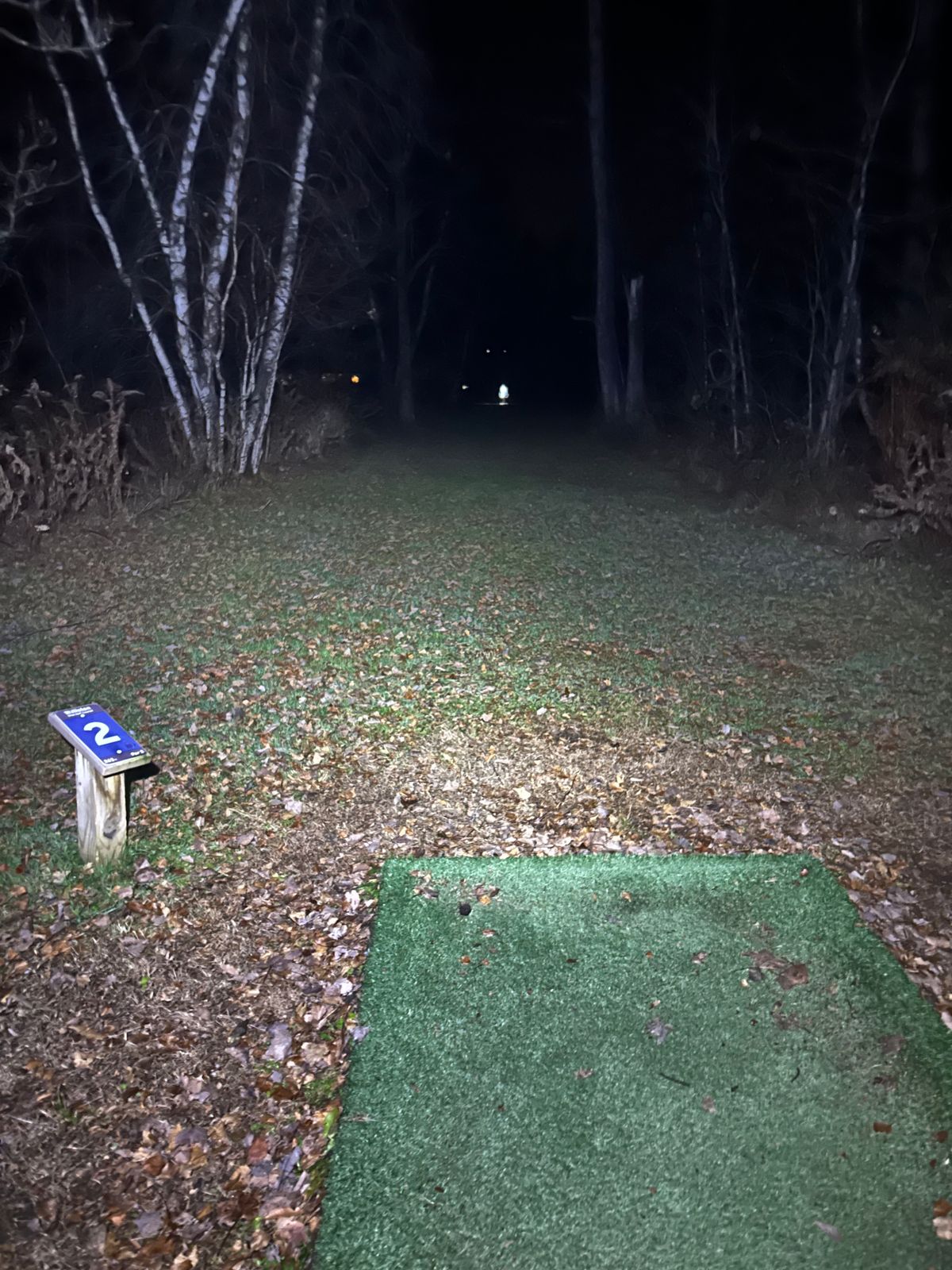 Hole 2, light on the basket