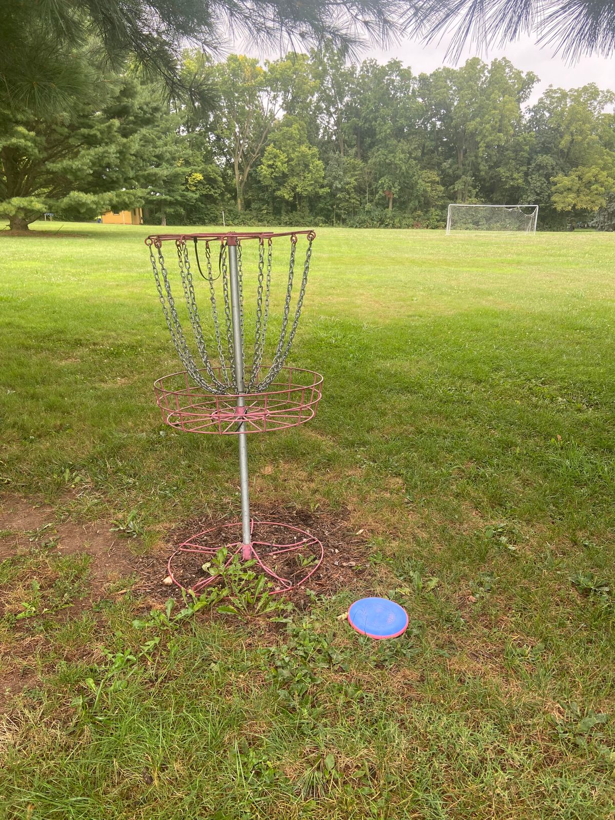 Hole four basket looking towards tee pad