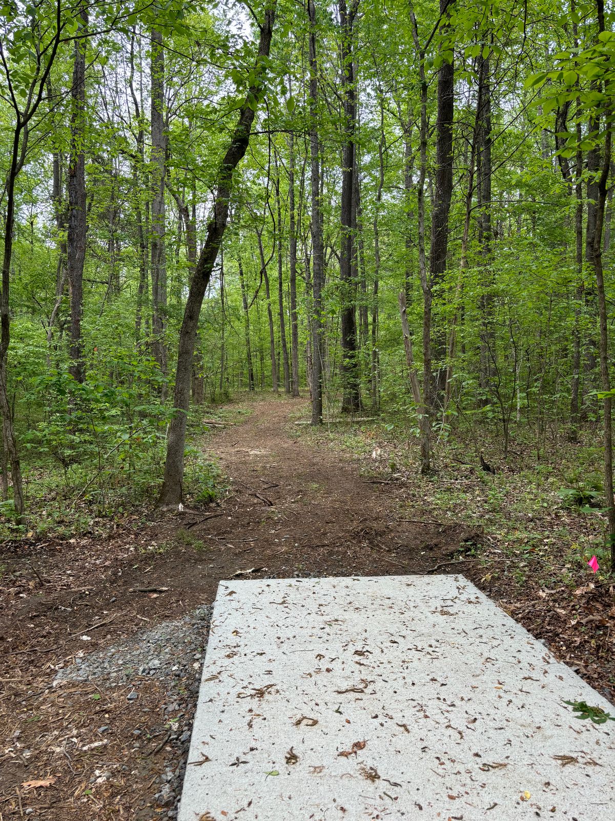 Hole 12