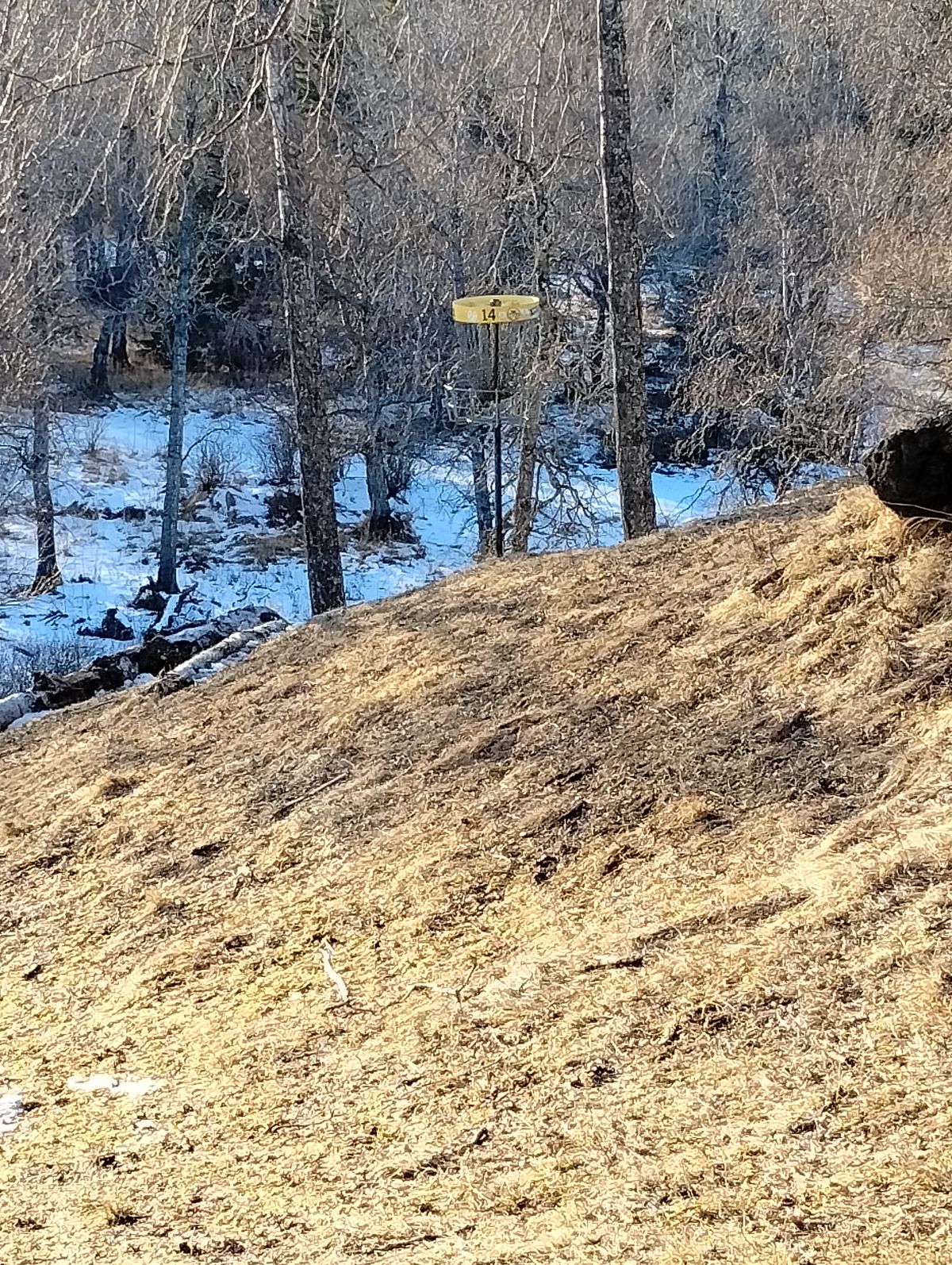Hole 14 Yellow basket