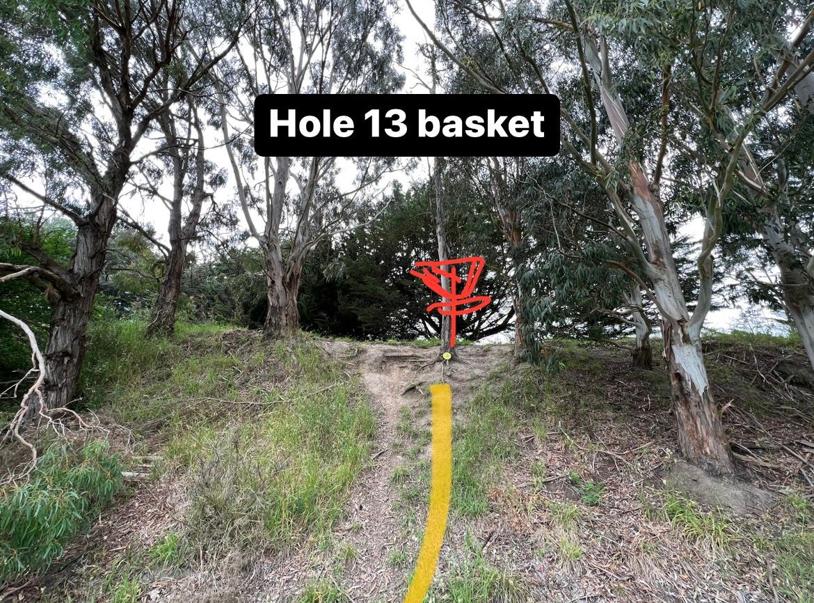 Hole 13 basket