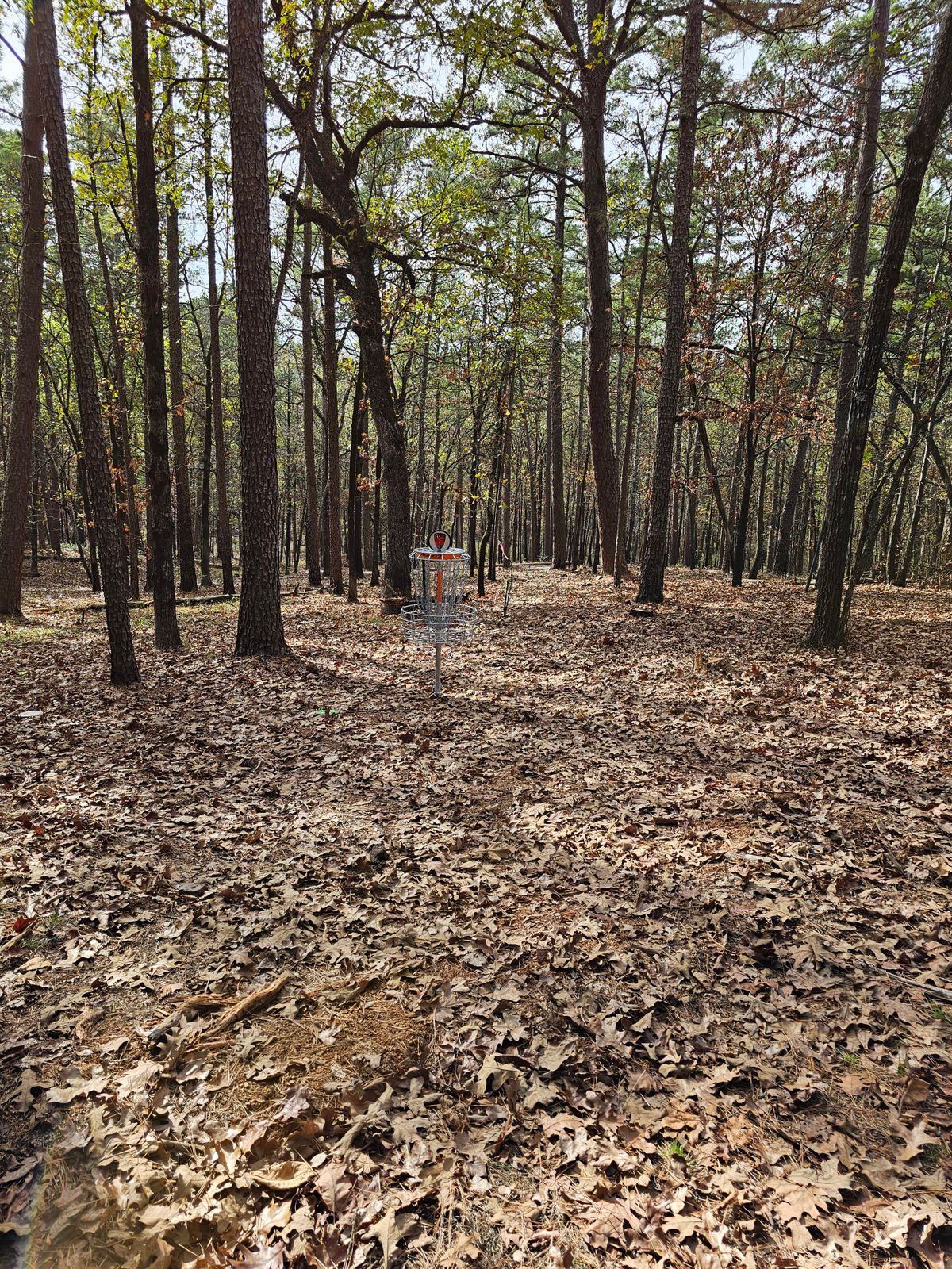 Hole 6