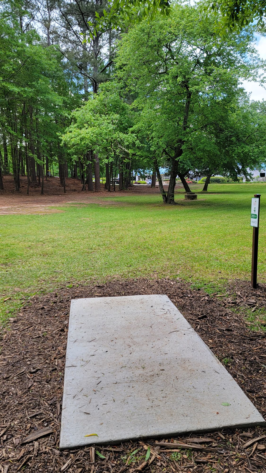 Hole 4