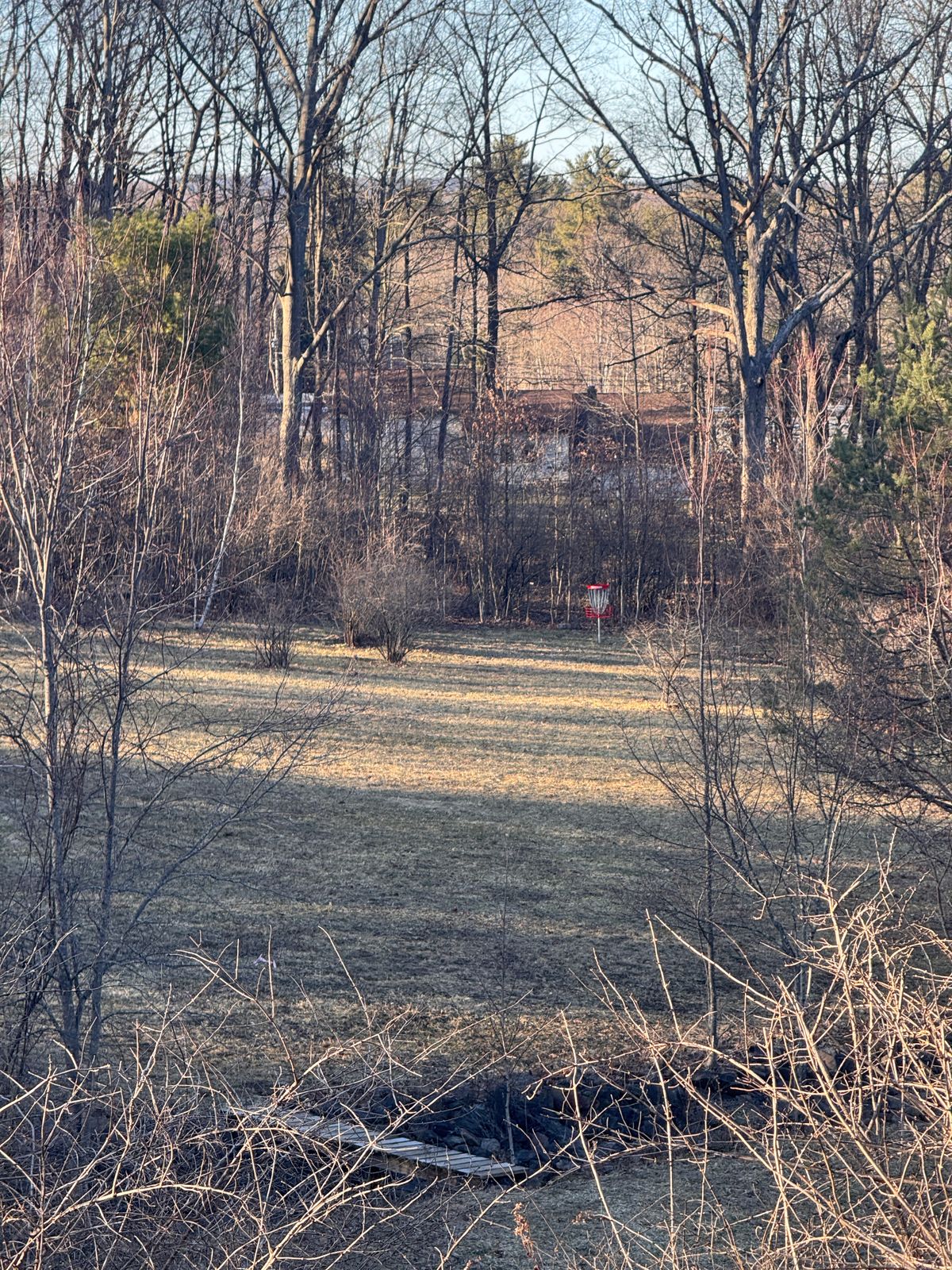 New basket on 8 long, zoomed in from the tee
