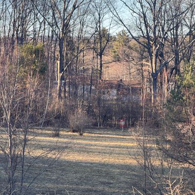 New basket on 8 long, zoomed in from the tee