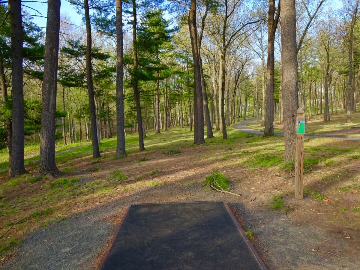 Hole 2A/B tee