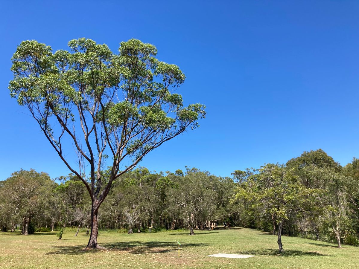 Hole 1 tee