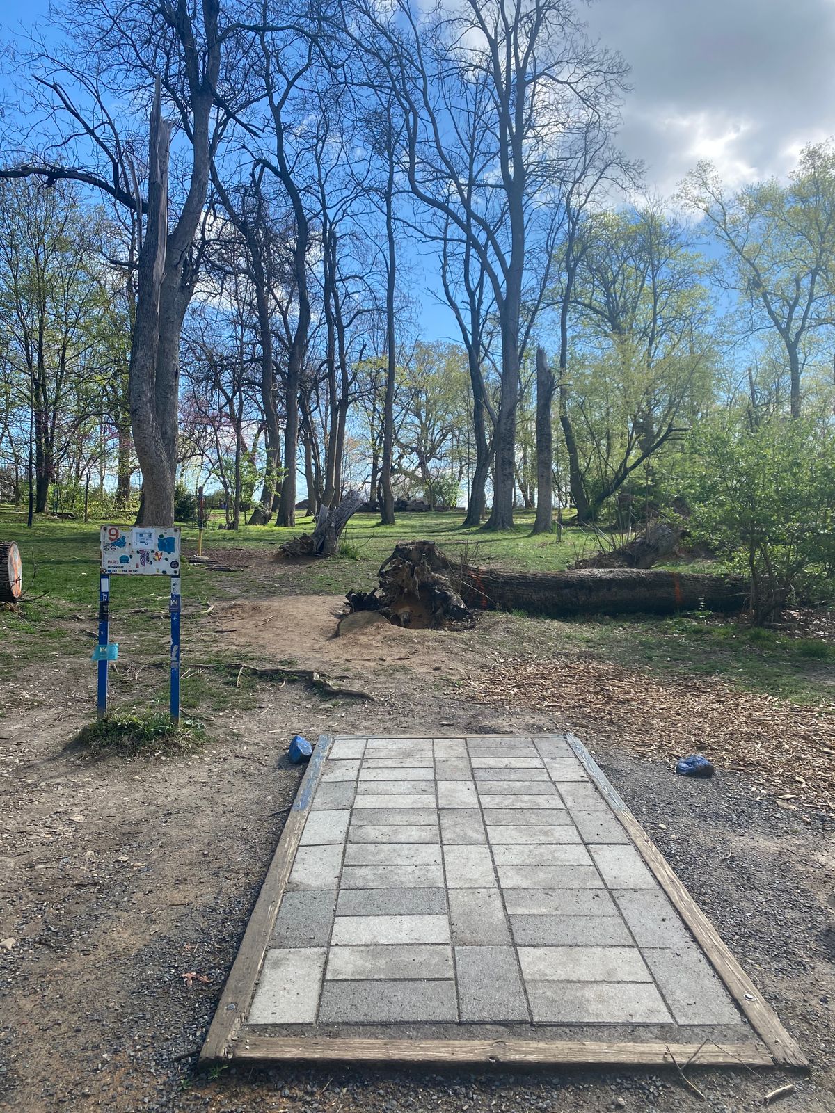 Hole 9 Blue