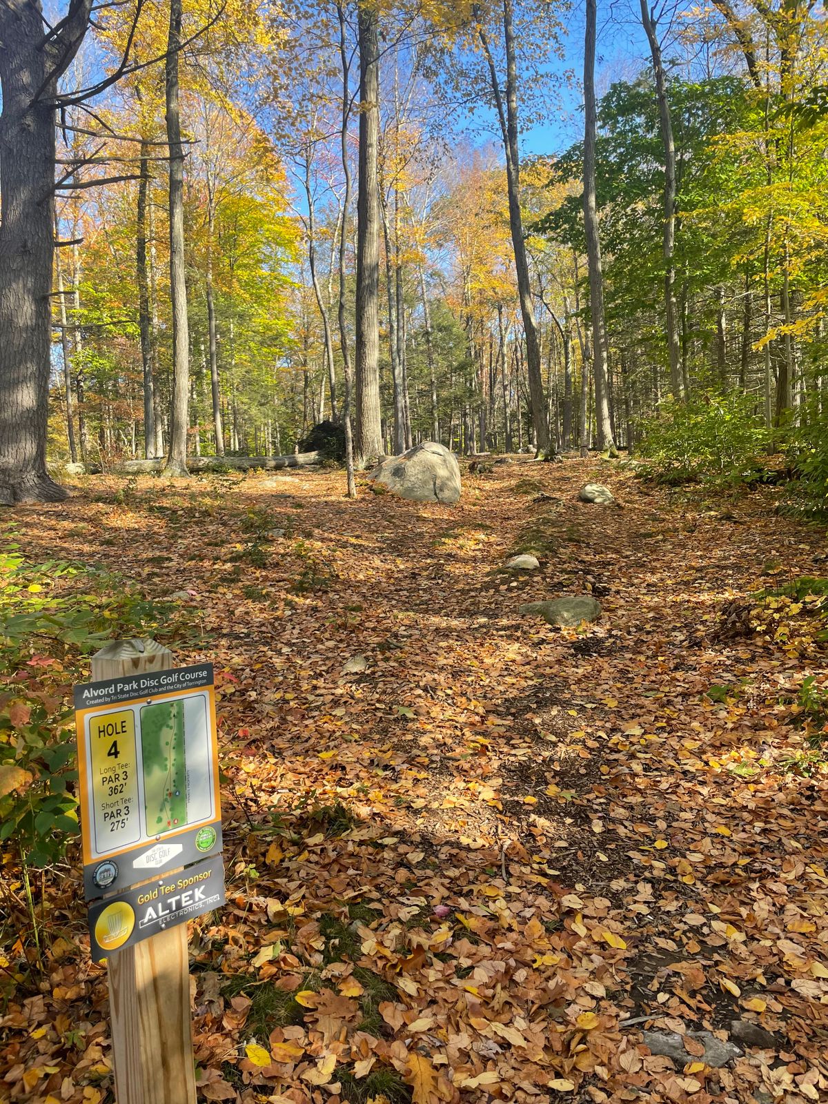 Hole 4