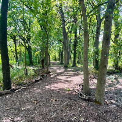Hole 1