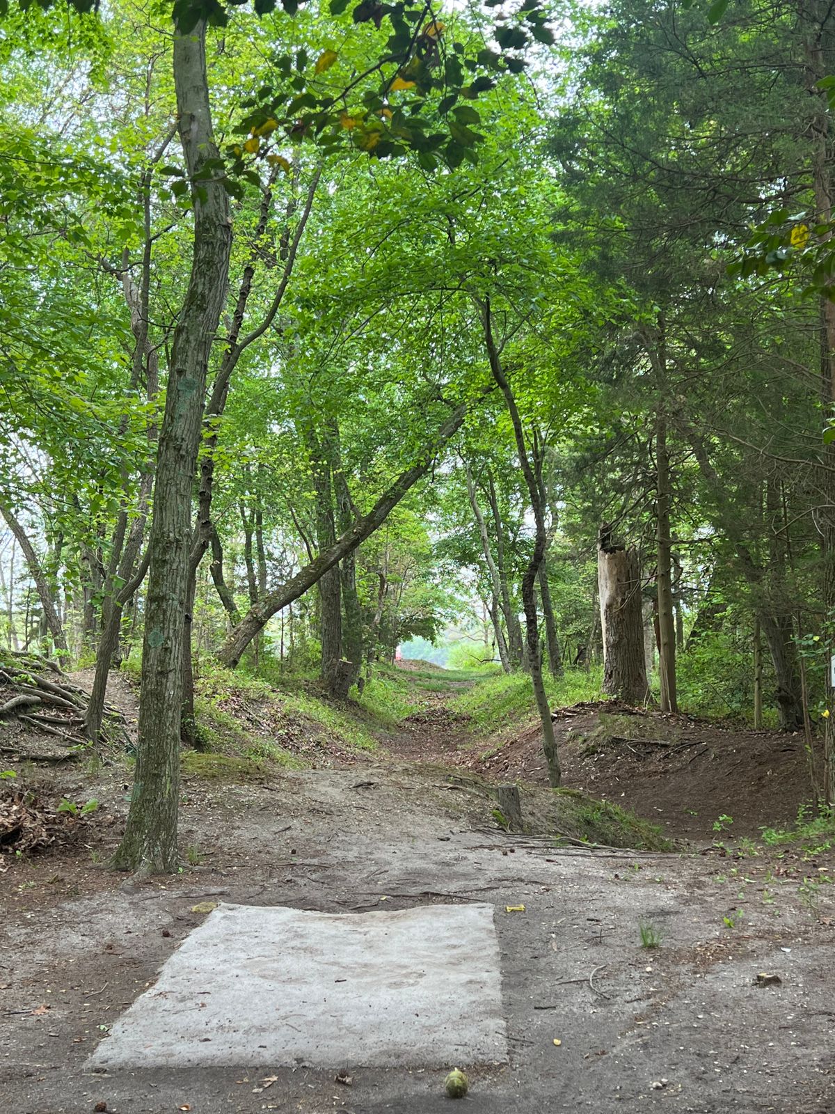 Hole 6