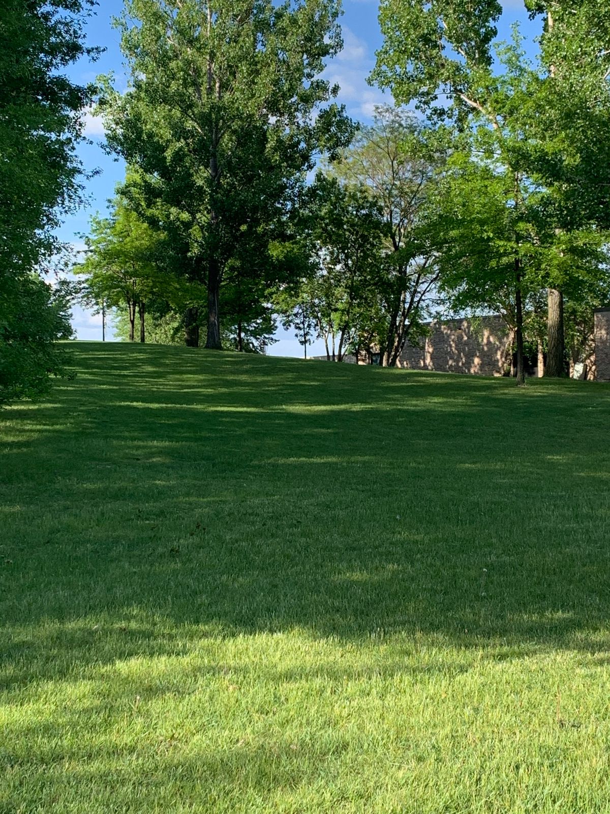 8th fairway