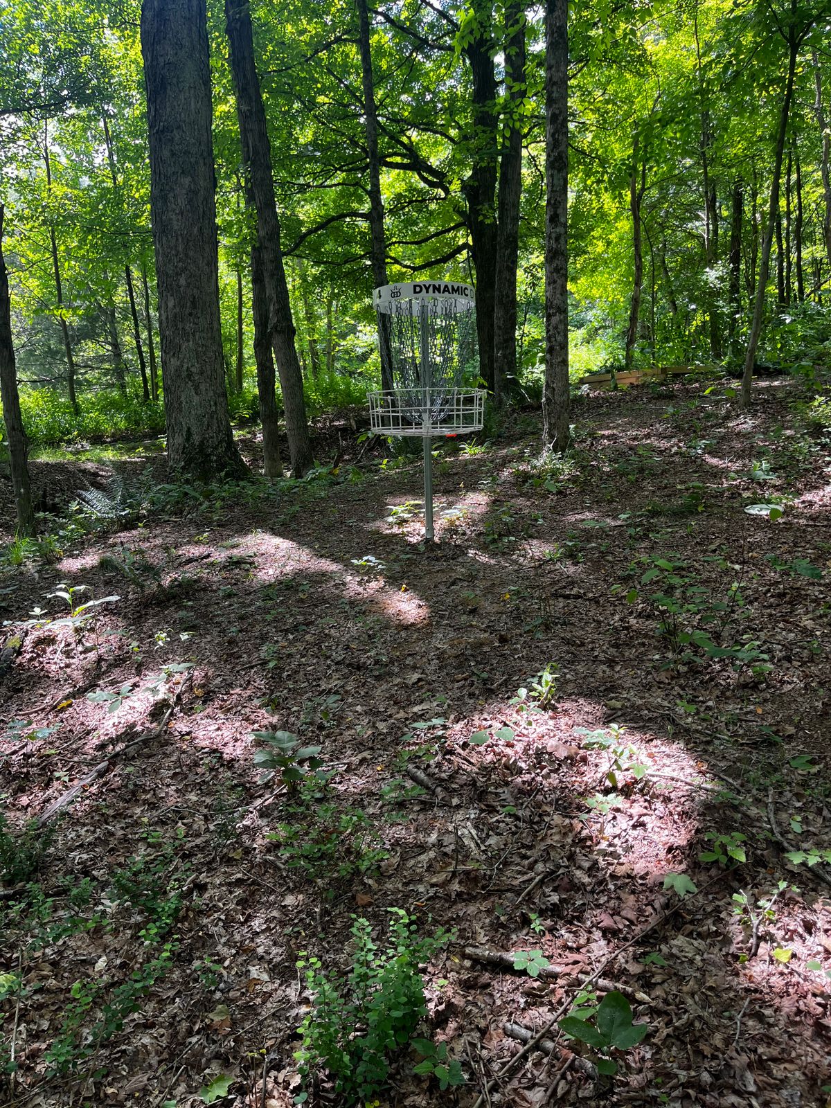 Hole 4 green