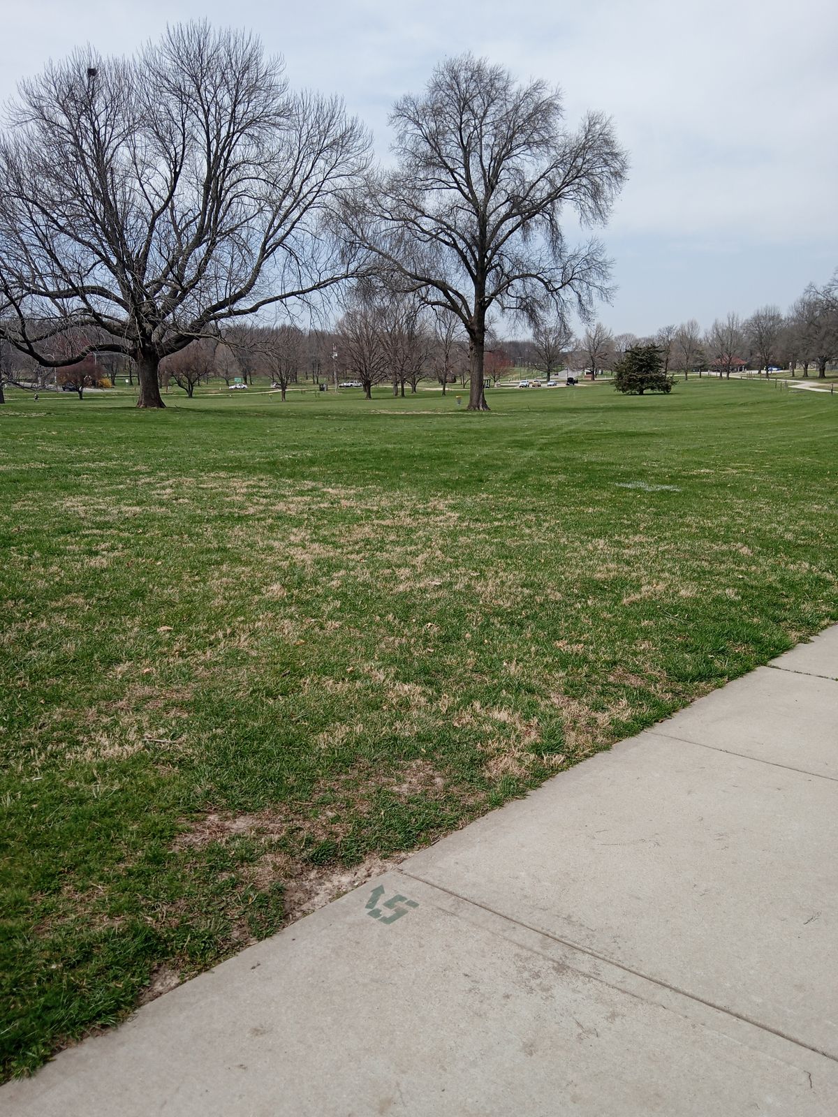 Tee off for hole 5 pin just past last tree back to the left.