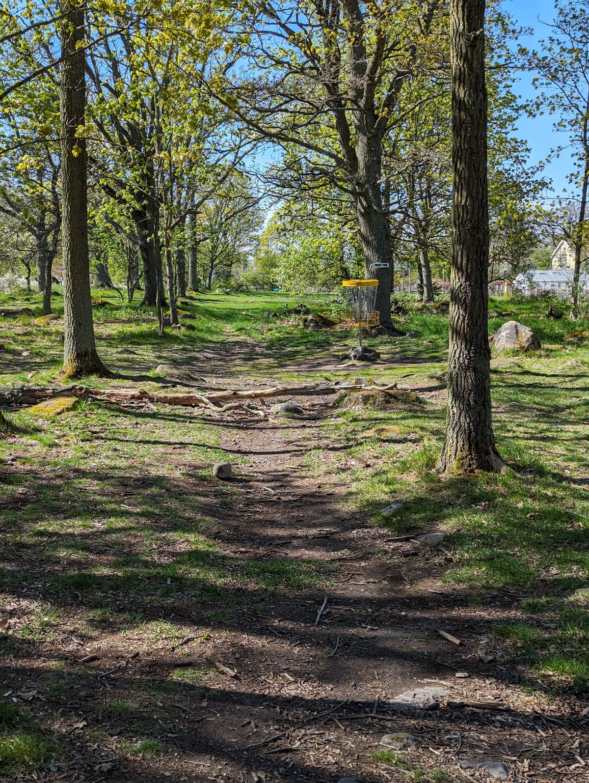 Hål 11