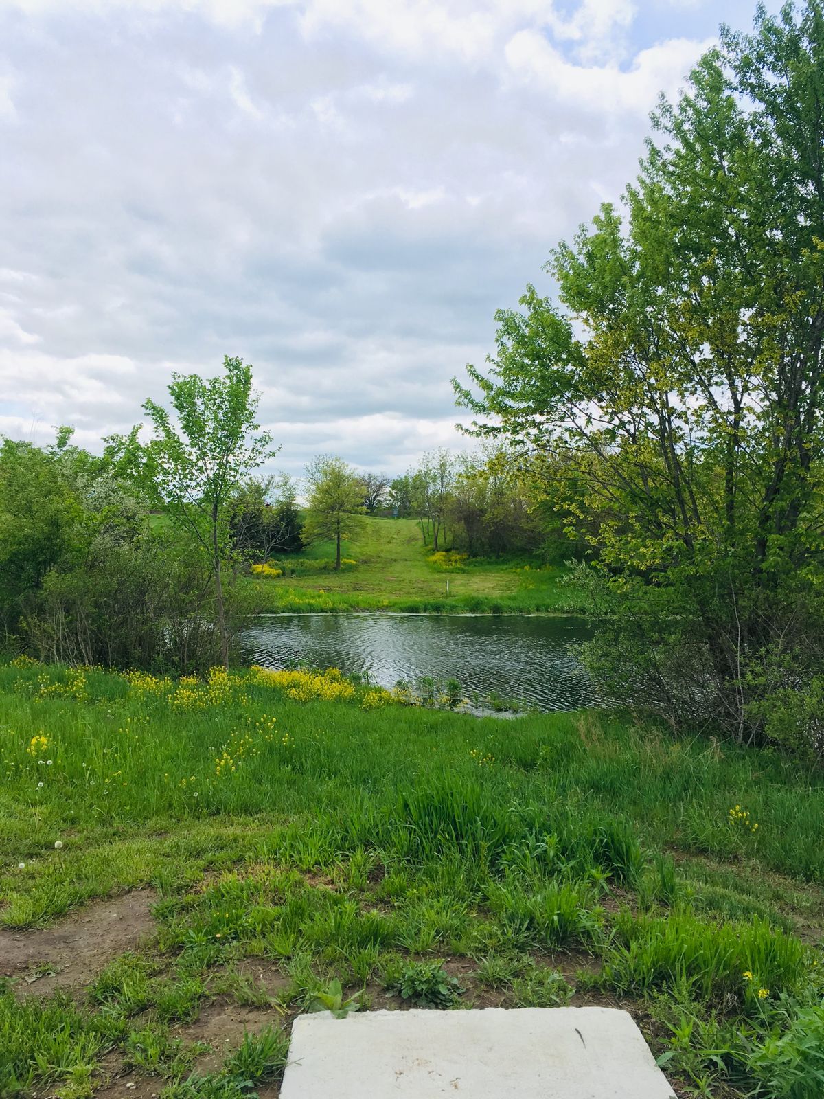 Hole 17 tee