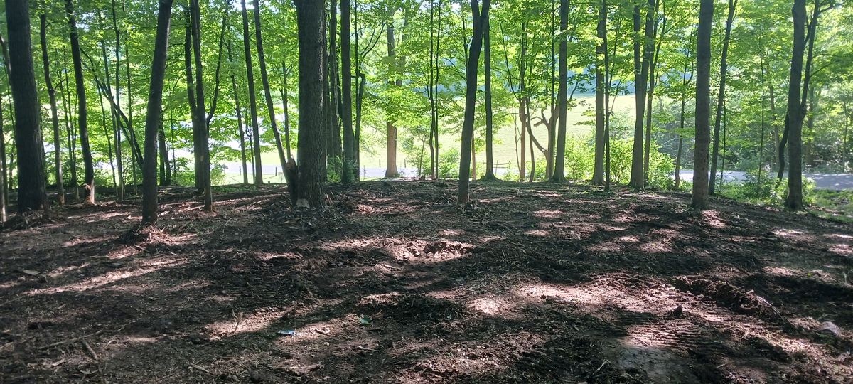 18 looking towards long pin. Great job clearing!!