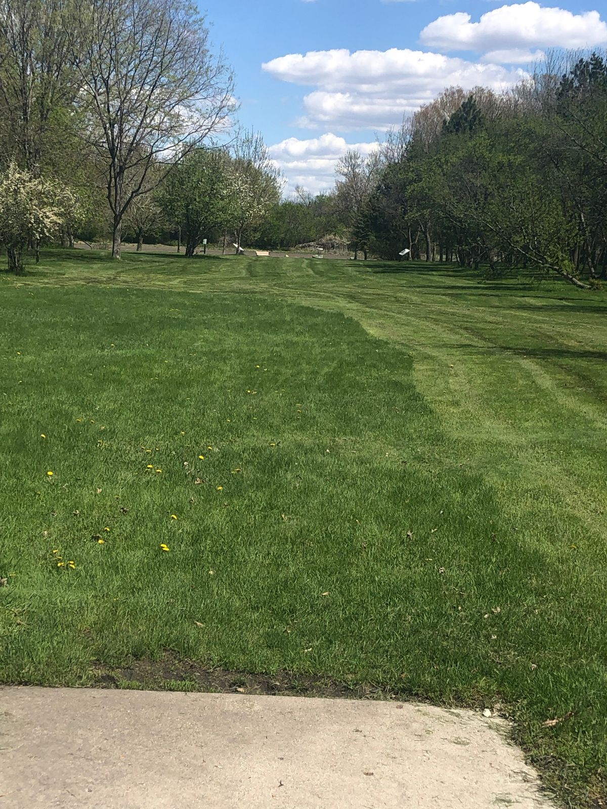 View of hole 5 basket from tee pad