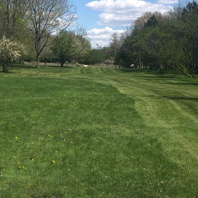 View of hole 5 basket from tee pad